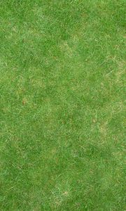 Preview wallpaper grass, lawn, field, green, texture