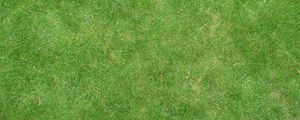 Preview wallpaper grass, lawn, field, green, texture