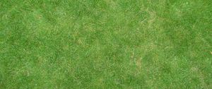 Preview wallpaper grass, lawn, field, green, texture