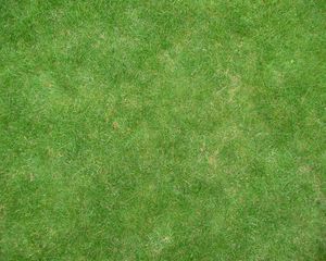 Preview wallpaper grass, lawn, field, green, texture