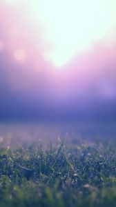 Preview wallpaper grass, lawn, fog, blur, nature