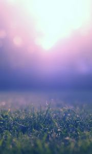 Preview wallpaper grass, lawn, fog, blur, nature