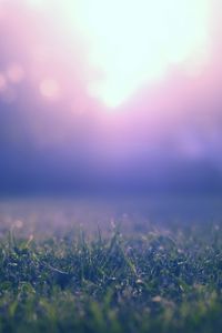 Preview wallpaper grass, lawn, fog, blur, nature