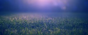 Preview wallpaper grass, lawn, fog, blur, nature