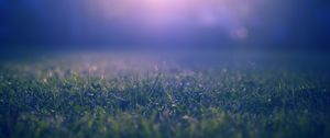 Preview wallpaper grass, lawn, fog, blur, nature