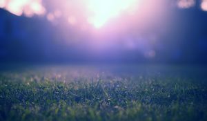 Preview wallpaper grass, lawn, fog, blur, nature