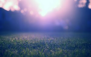 Preview wallpaper grass, lawn, fog, blur, nature