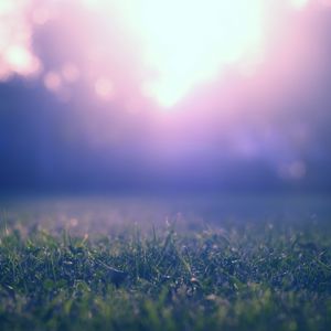 Preview wallpaper grass, lawn, fog, blur, nature