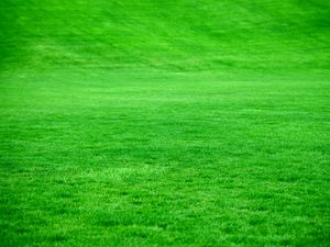 Preview wallpaper grass, lawn, green, bright