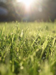 Preview wallpaper grass, lawn, light, blur