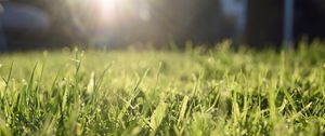 Preview wallpaper grass, lawn, light, blur