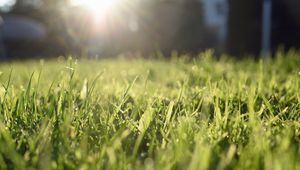 Preview wallpaper grass, lawn, light, blur