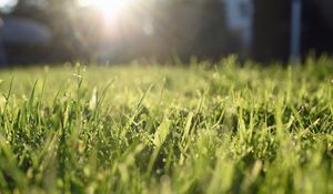 Preview wallpaper grass, lawn, light, blur