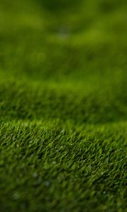 Preview wallpaper grass, lawn, macro, green