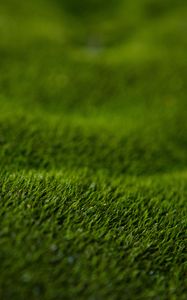 Preview wallpaper grass, lawn, macro, green