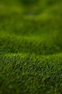 Preview wallpaper grass, lawn, macro, green