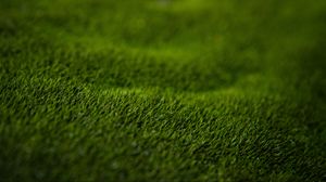 Preview wallpaper grass, lawn, macro, green