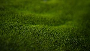 Preview wallpaper grass, lawn, macro, green