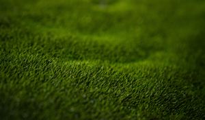 Preview wallpaper grass, lawn, macro, green
