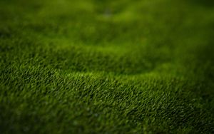 Preview wallpaper grass, lawn, macro, green