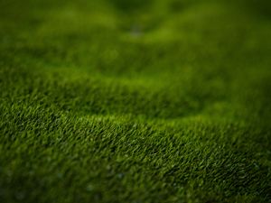 Preview wallpaper grass, lawn, macro, green