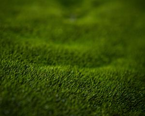 Preview wallpaper grass, lawn, macro, green