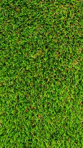 Preview wallpaper grass, lawn, texture, green