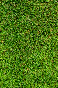 Preview wallpaper grass, lawn, texture, green