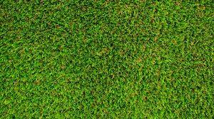 Preview wallpaper grass, lawn, texture, green