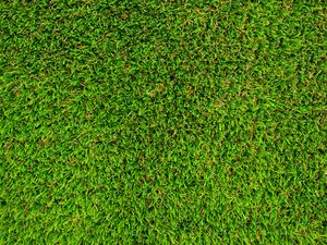 Preview wallpaper grass, lawn, texture, green