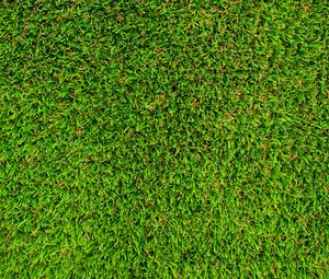 Preview wallpaper grass, lawn, texture, green