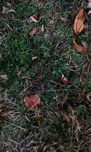 Preview wallpaper grass, leaves, autumn, fallen, foliage