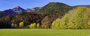 Preview wallpaper grass, leaves, dry, trees, mountains