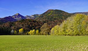 Preview wallpaper grass, leaves, dry, trees, mountains