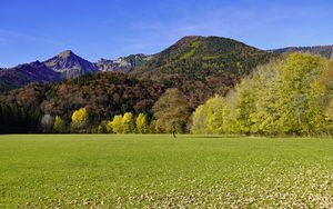 Preview wallpaper grass, leaves, dry, trees, mountains
