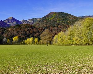 Preview wallpaper grass, leaves, dry, trees, mountains