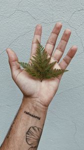 Preview wallpaper grass, leaves, hand, tattoo