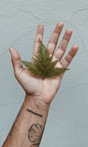 Preview wallpaper grass, leaves, hand, tattoo