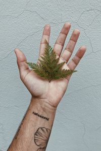 Preview wallpaper grass, leaves, hand, tattoo