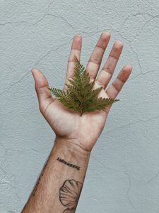 Preview wallpaper grass, leaves, hand, tattoo