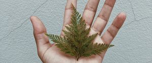 Preview wallpaper grass, leaves, hand, tattoo