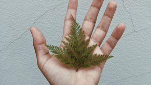 Preview wallpaper grass, leaves, hand, tattoo