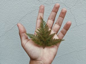 Preview wallpaper grass, leaves, hand, tattoo