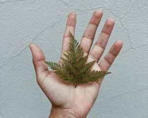 Preview wallpaper grass, leaves, hand, tattoo