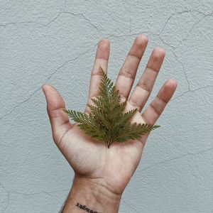 Preview wallpaper grass, leaves, hand, tattoo