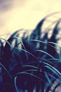 Preview wallpaper grass, leaves, wind, shadow