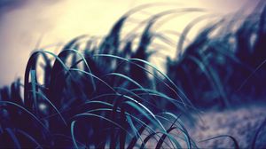 Preview wallpaper grass, leaves, wind, shadow