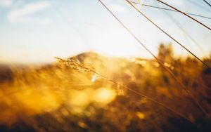 Preview wallpaper grass, light, hill, blur