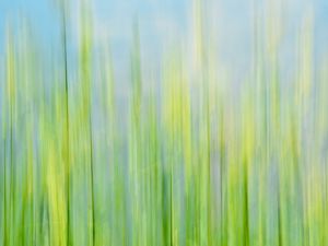 Preview wallpaper grass, macro, blurred