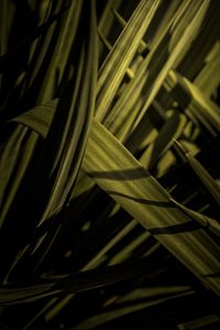 Preview wallpaper grass, macro, green, leaves